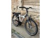 22 collu Batavus snake