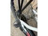 22 collu Batavus snake