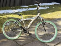 22 collu Batavus Snake