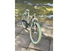 22 collu Batavus Snake