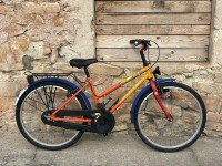 24 collu Batavus the Fox