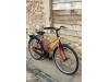 24 collu Batavus the Fox