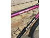 Batavus Buster