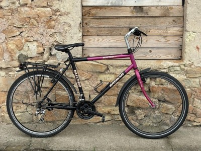 Batavus Buster