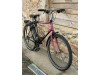 Batavus Buster