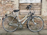 Gazelle Tour de France