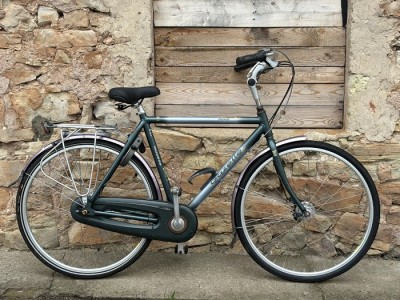 Gazelle Davos