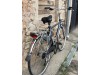 Gazelle Geneve Track&trail