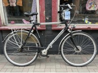Gazelle Davos