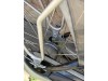Gazelle Gold line Gazelle Gold line