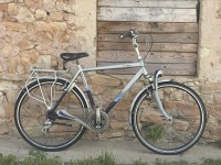 Gazelle Medeo Gazelle Medeo