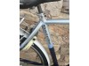 Gazelle Medeo