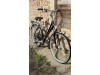 Gazelle Medeo 