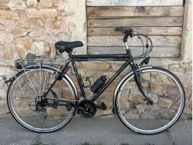 Koga Miyata Traveler