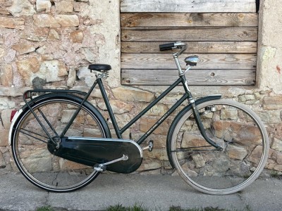 Stokvis